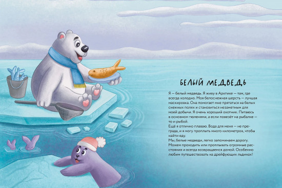 Косолапые медведи