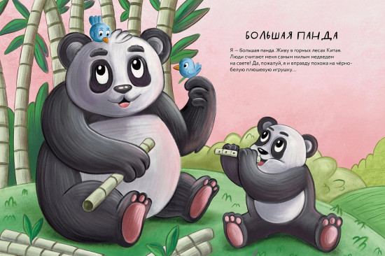 Косолапые медведи