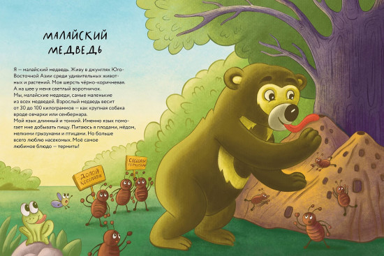 Косолапые медведи