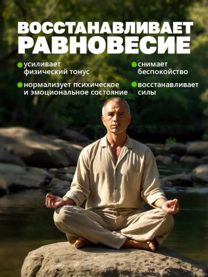 Капсулы «Гинкго Билоба»