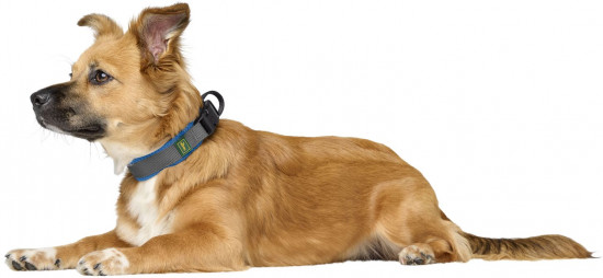 Ошейник для собак «Maldon»