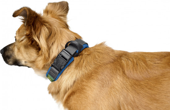 Ошейник для собак «Maldon»