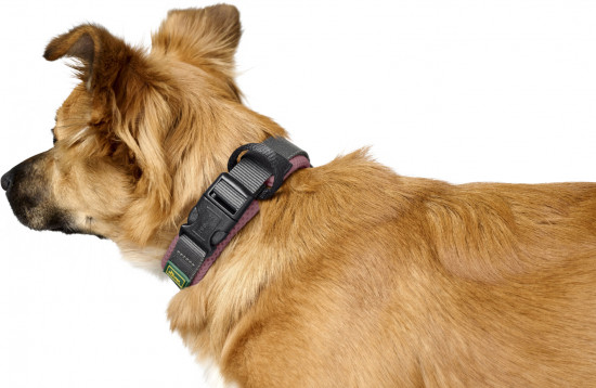 Ошейник для собак «Maldon»