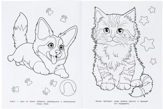 Раскраска «Забавные питомцы»