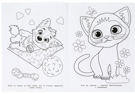 Раскраска «Забавные питомцы»