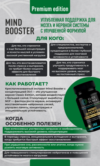 Комплекс для поддержки мозга и нервной системы «Mind Booster Premium»