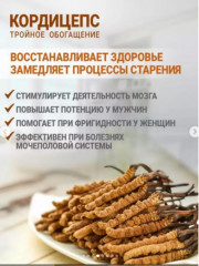 Комплекс для иммунитета «Кордицепс. Тройное обогащение» - Фото 3