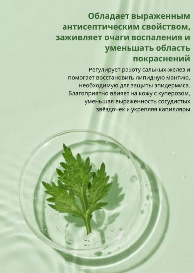 Крем для лица с экстрактом полыни «Mugwort Calming Cream»