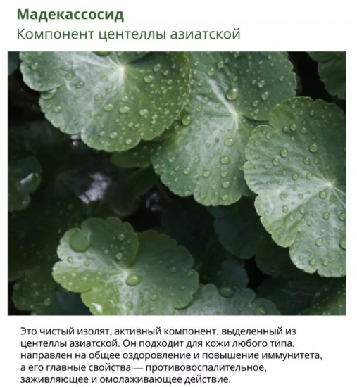 Крем для лица с экстрактом полыни «Mugwort Calming Cream»