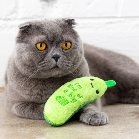 Игрушка для кошек с кошачьей мятой «Огурец Крутыш»