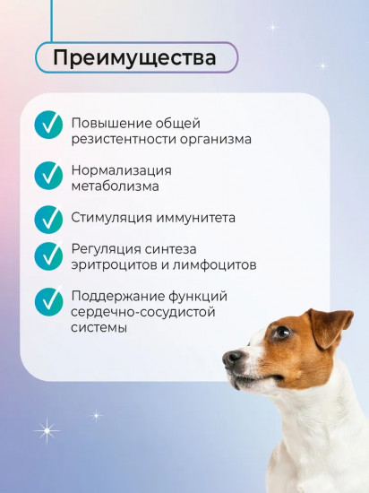 Лакомство жевательное для собак «Immunity»