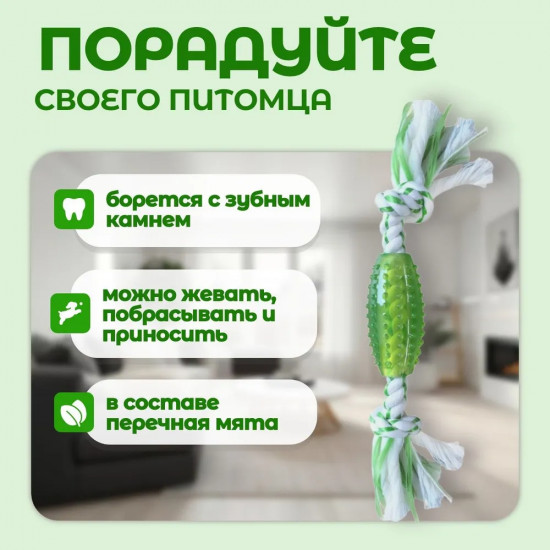 Игрушка для собак с ароматом мяты «Регби с канатом»