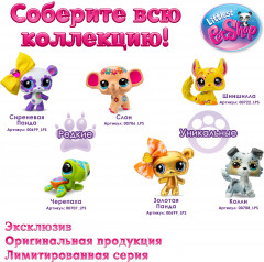 Игровой набор «Пляжные приключения: Морской конек и Черепашка» - Фото 7