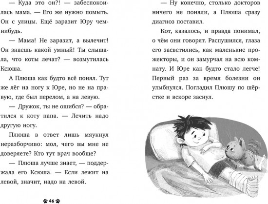 Котенок Плюша ищет семью