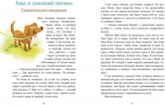 Накорми рычащего медведя. Большая книга приключений Анны и папы - Фото 5