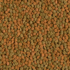 Корм-чипсы для всех донных рыб - Фото 2