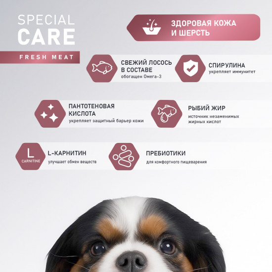 Корм для собак с лососем  «Special care»