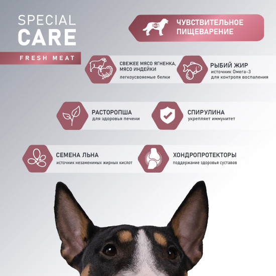 Корм для собак с ягнёнком «Special care»