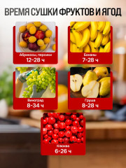 Сушилка для продуктов BR1907 - Фото 5