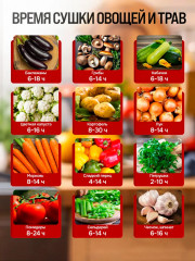 Сушилка для продуктов BR1907 - Фото 6