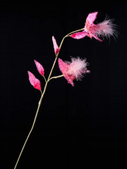 Декоративное интерьерное украшение «Веточка колокольчика с перьями» - Фото 1