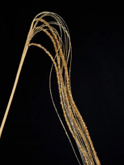 Декоративное интерьерное украшение «Веточка с глитером и бисером» - Фото 1