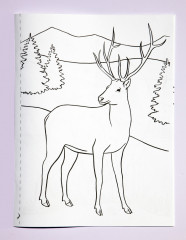 Раскраска «Қазақстанның фаунасы. Фауна Казахстана» - Фото 1