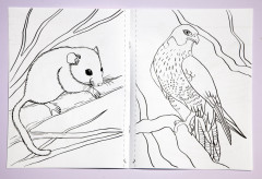 Раскраска «Қазақстанның фаунасы. Фауна Казахстана» - Фото 3