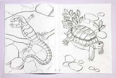 Раскраска «Қазақстанның фаунасы. Фауна Казахстана» - Фото 4