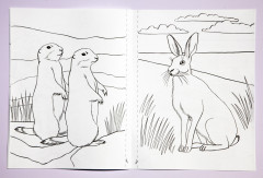 Раскраска «Қазақстанның фаунасы. Фауна Казахстана» - Фото 5