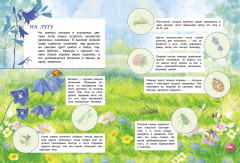 Познавательные наклейки. Мир насекомых - Фото 1