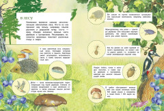 Познавательные наклейки. Мир насекомых - Фото 2