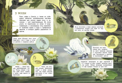 Познавательные наклейки. Птицы - Фото 2