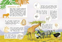 Познавательные наклейки. Животные жарких стран - Фото 1
