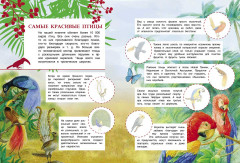 Познавательные наклейки. Животные жарких стран - Фото 2