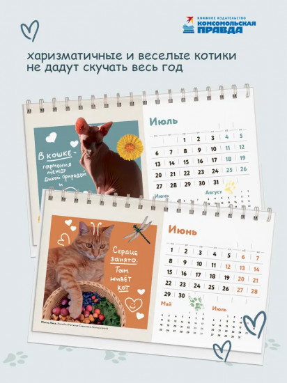 Календарь настольный на 2026 год «Скажи, кто твой кот»