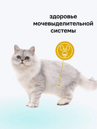 Корм для кошек «Urinary»