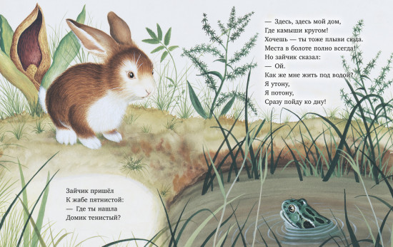 Зайчик ищет дом