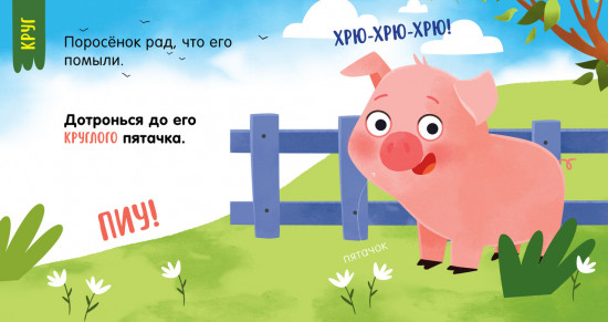 Формы