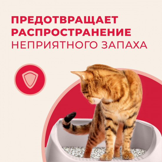 Наполнитель для кошачьего туалета