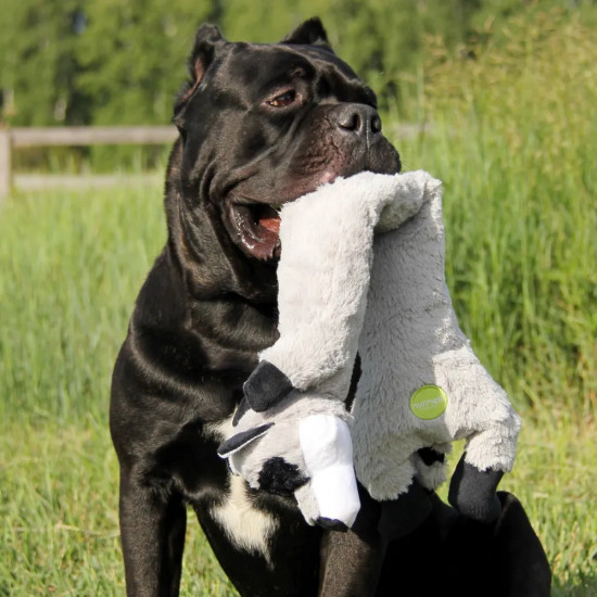 Игрушка-пищалка для собак мягкая «Енот»