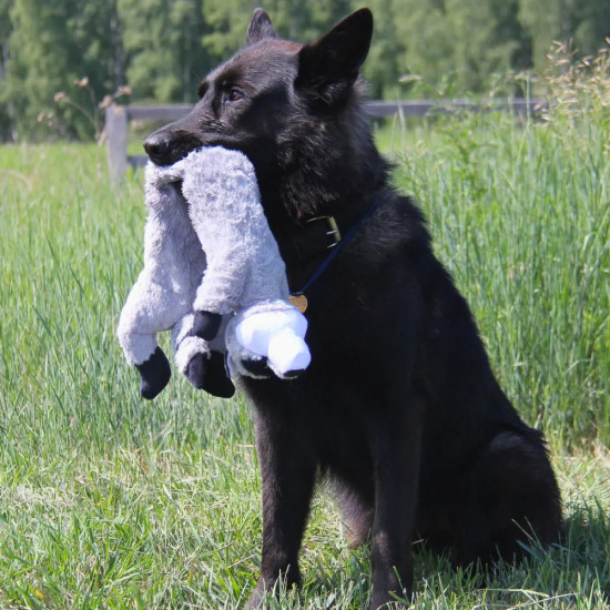 Игрушка-пищалка для собак мягкая «Енот»