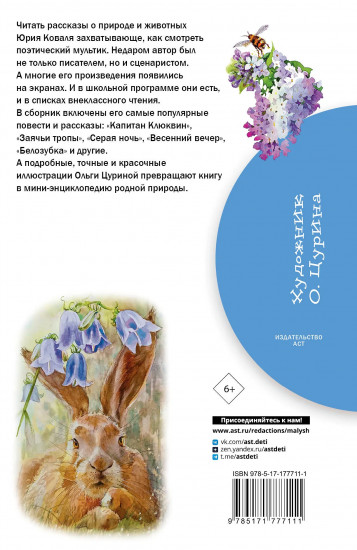Жеребенок