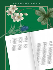 Джейн с Холма над Маяком - Фото 3