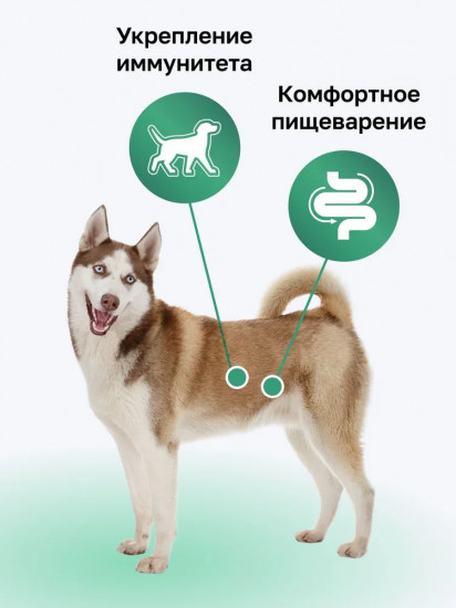 Корм сухой для взрослых собак крупных и средних пород с ягнёнком, фруктами и овощами