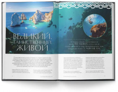 Тихоокеанская кухня. Начало - Фото 4