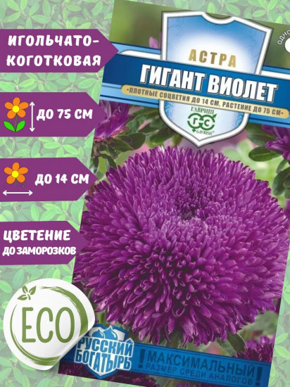 Семена «Астра Гигант виолет»