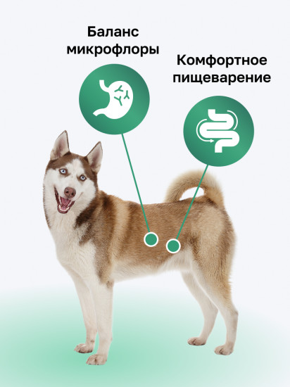 Cухой корм для взрослых собак с индейкой, фруктами и овощами