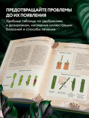 Зеленая комната. Как стать повелителем домашних джунглей - Фото 6