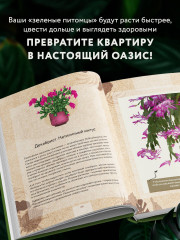 Зеленая комната. Как стать повелителем домашних джунглей - Фото 7